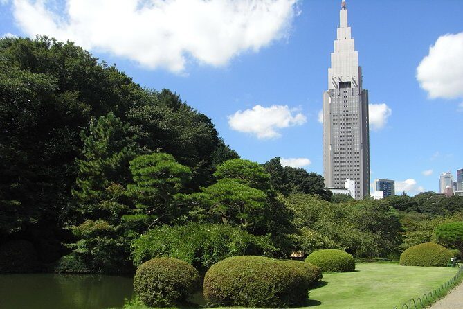 Tokyo Private Car Tour: Professional Guide and Driver/Optional airport xfer - Quirky and Fun Highlights