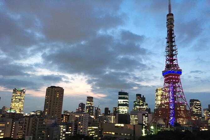 Tokyo Private Car Tour: Professional Guide and Driver/Optional airport xfer - The Personal Touch