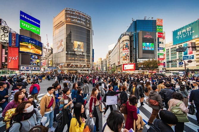 Tokyo Private Chauffeur Tour - Fully Guided - Key Points