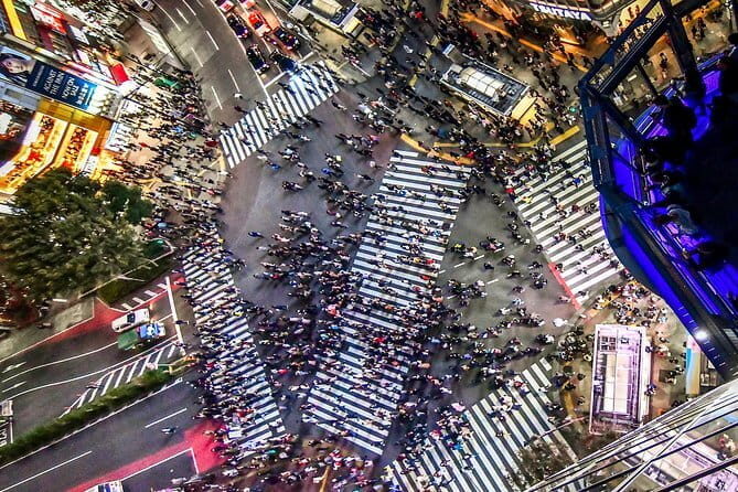 Tokyo Private Chauffeur Tour - Fully Guided - Practical Considerations and Value