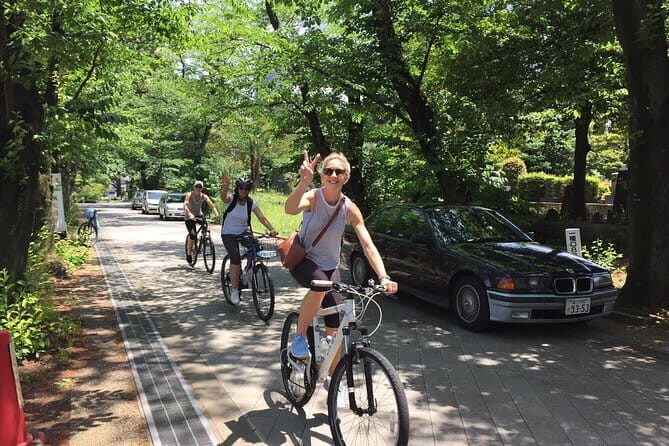 Tokyo Private Chauffeur Tour - Fully Guided - Final Thoughts