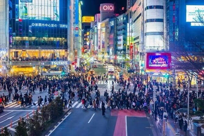 Tokyo Private Day Tour by Car with English speaking Driver - Key Points