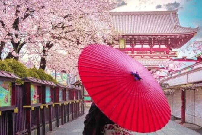 Tokyo Private Day Trip by minivan with pickup and drop off - Exploring the Itinerary in Detail