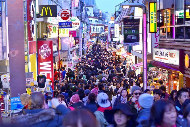 Tokyo Private Driving Tour by Car/Van- English speaking chauffeur - Who Is This Tour Best For?