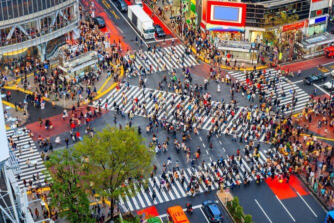 Tokyo Private Driving Tour by Car/Van- English speaking chauffeur - Final Thoughts