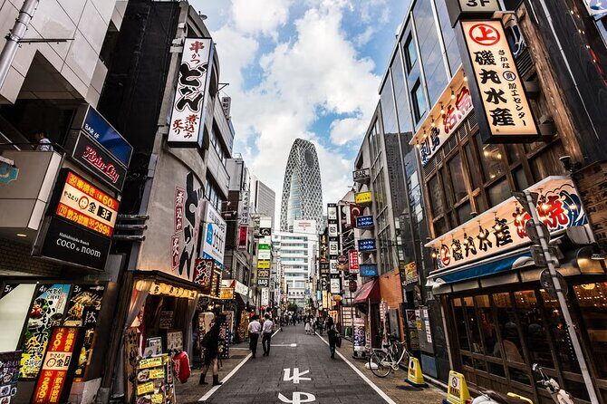 Tokyo Private Driving Tour by Car/Van with English Chauffeur - An In-Depth Look at the Tour