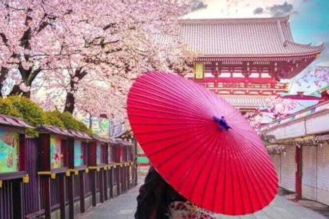 Tokyo Private Guided Tour with Hotel Pickup and Drop off - A Deep Dive into the Tour Experience