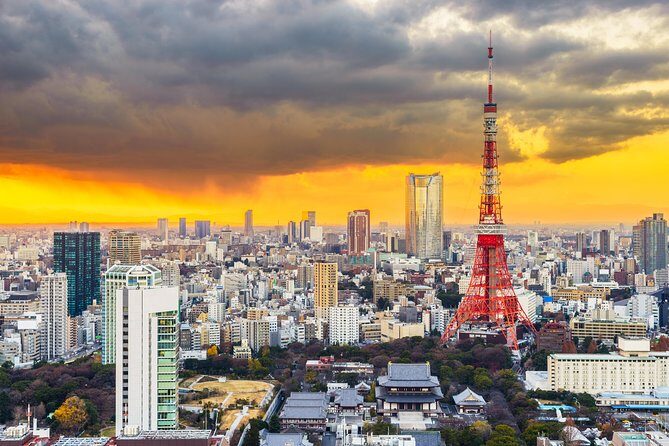 Tokyo Private Sightseeing Tour with English Speaking Driver - Why Choose This Tour?