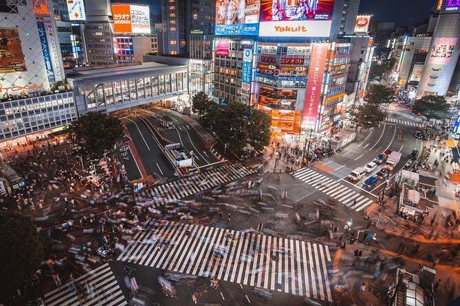 Tokyo Private Sightseeing Tour with English Speaking Driver - Real Traveler Insights from Reviews