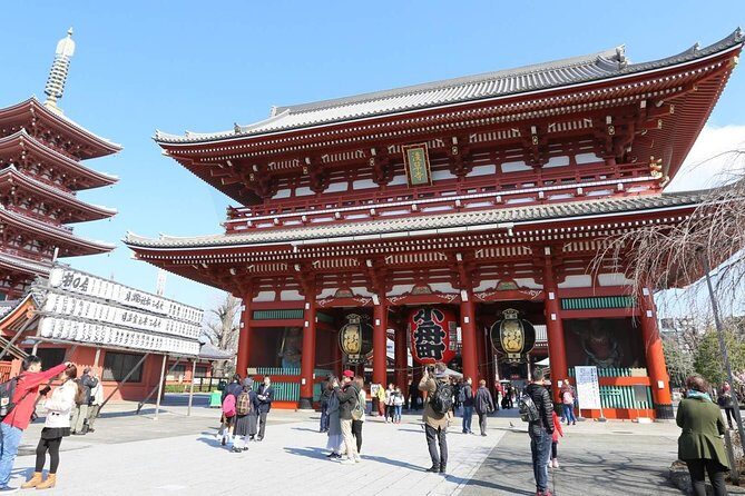Tokyo Private Sightseeing Tour with English Speaking Driver - Practical Tips for Booking & Enjoying
