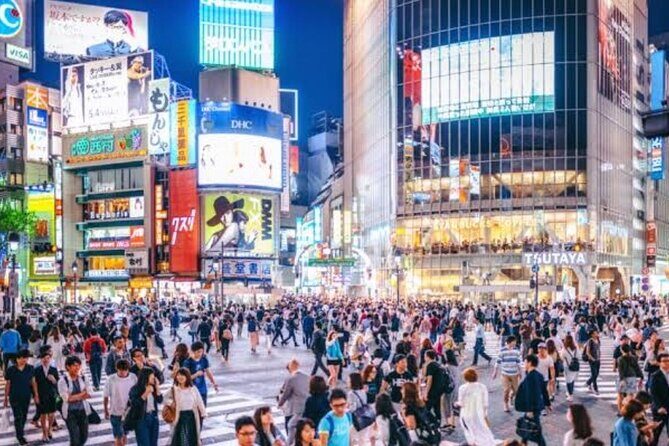 Tokyo Private Tour by Car with English speaking driver - In-Depth Look at the Tour Itinerary
