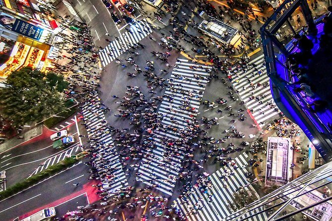 Tokyo Private Tour by Vehicle with English-Speaking Chauffeur - In Final Words