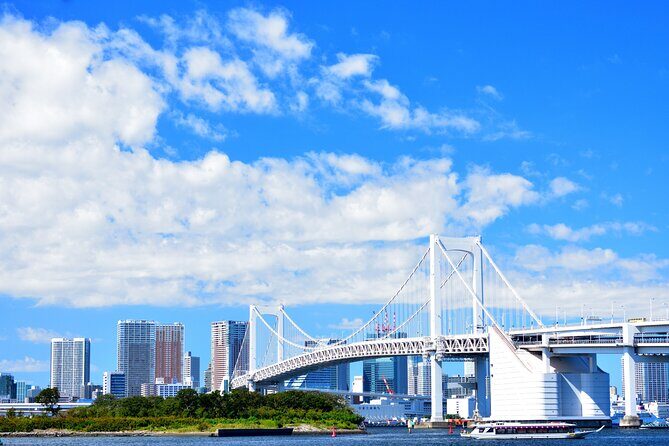 Tokyo Private Tour - Cost & Value