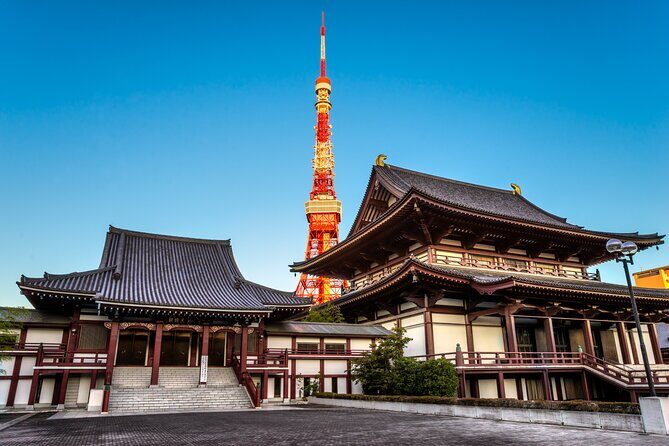 Tokyo Private Tour - Final Thoughts