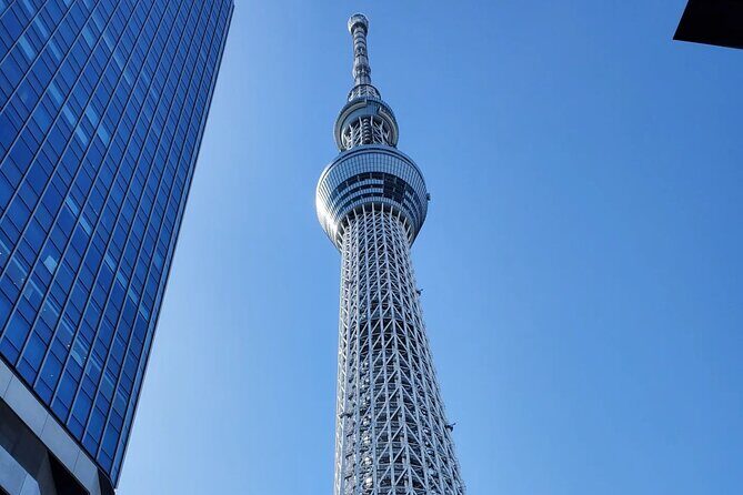 Tokyo Private Tour GREEN NUMBER PLATES - A Deep Dive into the Experience