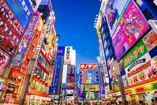Tokyo Private Tour with English Speaking Driver - An Inside Look at the Tour’s Itinerary