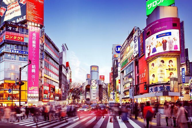 Tokyo Private Transfer from Narita airport to central Tokyo - What to Expect: A Step-by-Step Breakdown