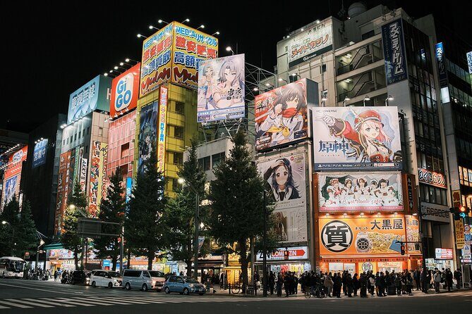 Tokyo: Private Walking Tour with a Local Guide - Who Is This Tour Best For?
