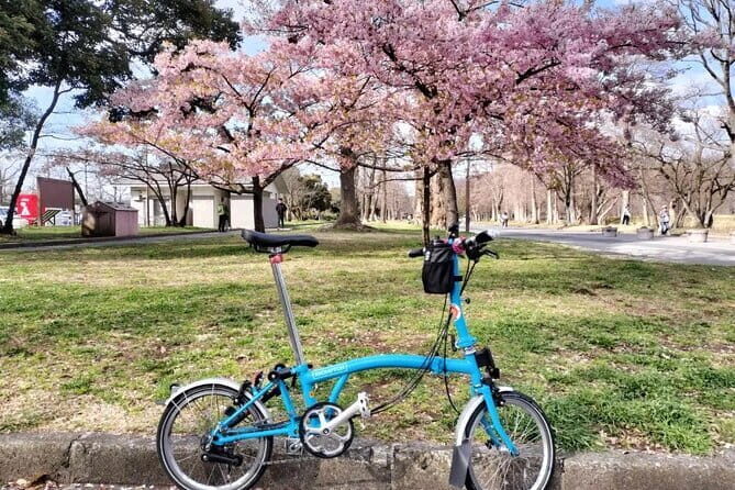 Tokyo Shibamata Retro Bike Tour with Lunch & Coffee - An In-Depth Look at the Tokyo Shibamata Retro Bike Tour