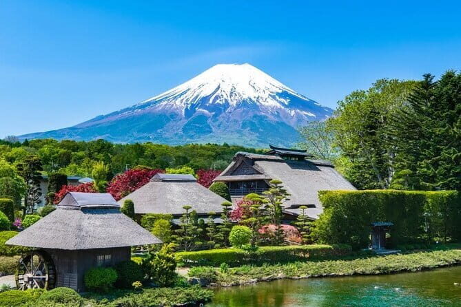 Tokyo Small Group: Enoshima & Kamakura, Hotel Pickup Option - Tsurugaoka Hachimangu Shrine: Kamakura’s Sacred Heart