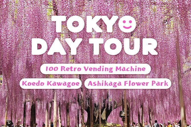 Tokyo Spring: Ashikaga Flower Park, Kawagoe & 100 Vending Machine - Key Points