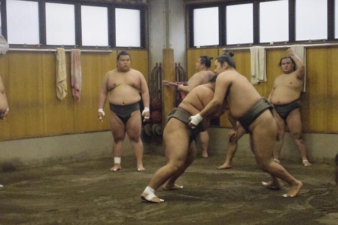 Tokyo Sumo Morning Practice Tour at Stable - The Sum Up