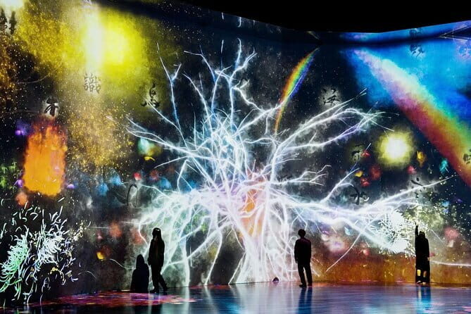 Tokyo: teamLab Borderless Museum Admission Ticket - Detailed Review of the Experience