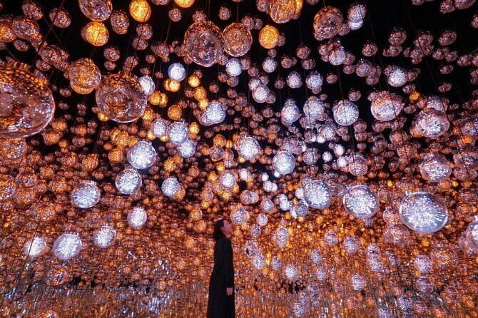 Tokyo: teamLab Borderless Museum Admission Ticket - The Sum Up