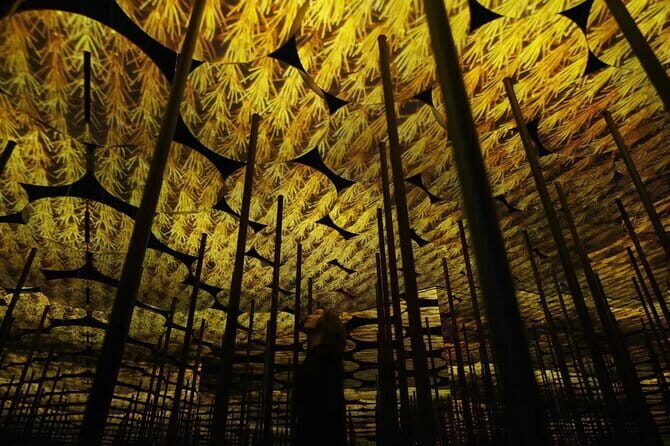 Tokyo: teamLab Borderless Museum Admission Ticket - Frequently Asked Questions (FAQs)