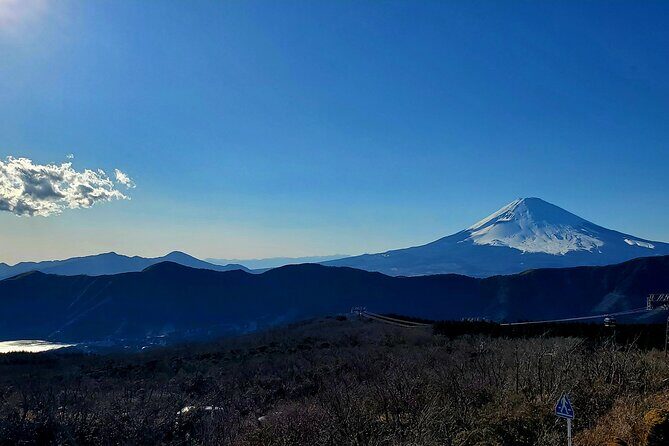 Tokyo to Hakone Customizable Private Tour - FAQ