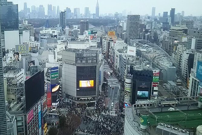 Tokyo Toilet Tour - Who Should Book This Tour?