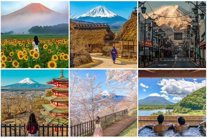 Tokyo Ueno Tour: Taste Chaos, Culture & Food Off the Beaten Path - Authenticity and Overall Value