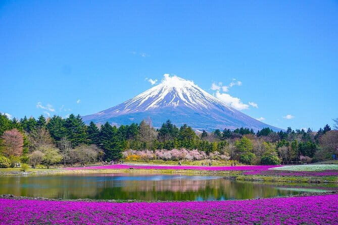 Tokyo Unlocked: A Private Day of Culture, Cuisine & City Secrets - The Sum Up