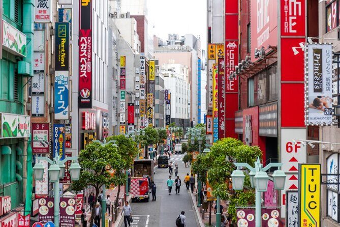 Tokyo Unlocked: Private Full-Day Tour - Who Will Appreciate This Experience?