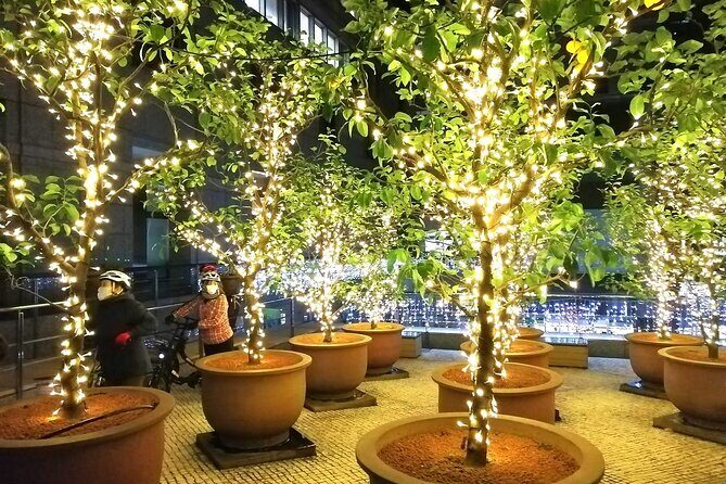Tokyo Winter Illumination Ebike Tour - FAQ