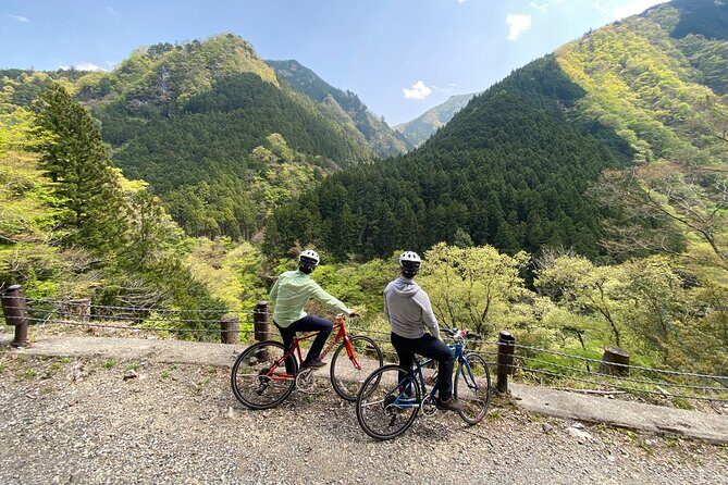 Tokyo's hidden nature cycling tour - Okutama Historical Road Tour - Practical Details and Value