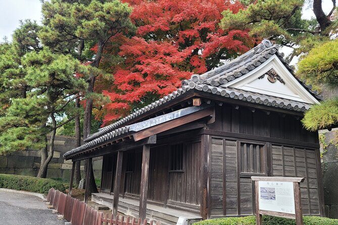 Tokyo's Imperial Palace & Nihonbashi Tour - Is This Tour Worth It?