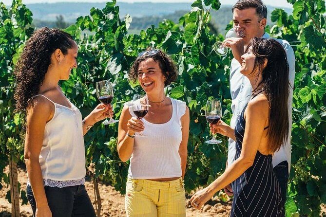 Toledo City Tour, Winery Experience & Wine Tasting from Madrid - Exploring Toledo: A Cultural Gem