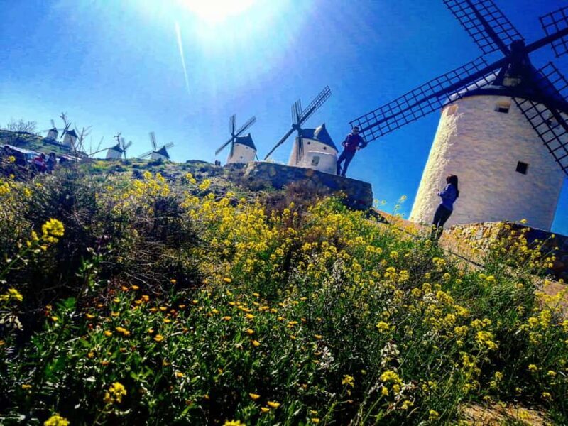 Toledo: Toledo & La Mancha Wine Tour - Windmills and Lunch Included. - Practical Details and Why They Matter