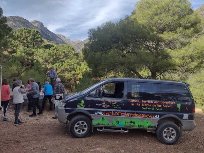 Tolox: Sierra de las Nieves National Park Private 4x4 Tour - An Experience Rooted in Nature and Authenticity