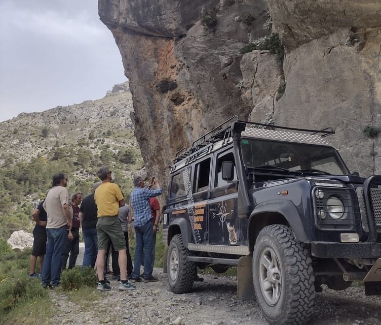 Tolox: Sierra de las Nieves National Park Private 4x4 Tour - Value and Pricing Analysis