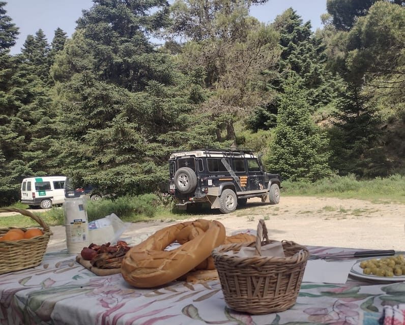 Tolox: Sierra de las Nieves National Park Private 4x4 Tour - The Sum Up