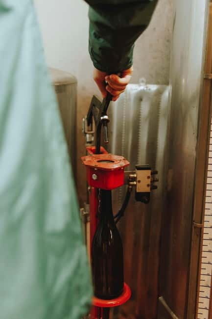 Tomar: Learn About Winemaking with a Tasting - Key Points