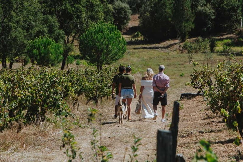 Tomar: Wine Tasting with Vinotherapy - Practical Details That Matter