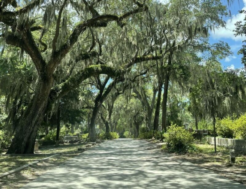 Tombs of Savannah: Bonaventure Cemetery Experience - Introduction