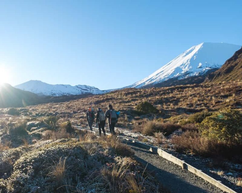 Tongariro Alpine Crossing: Premium Guided Hike - An In-Depth Look at the Tongariro Alpine Crossing Guided Tour