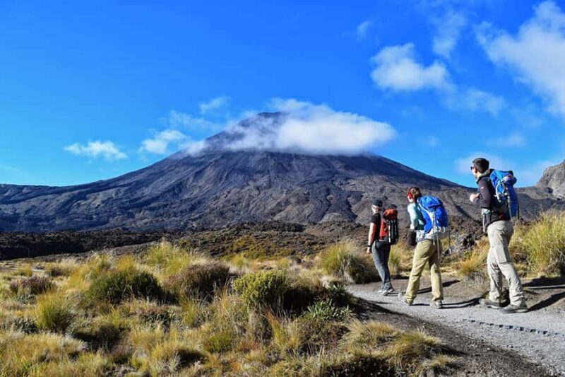 Tongariro Alpine Half Day Guided Group Walk - What You Can Expect from the Tour