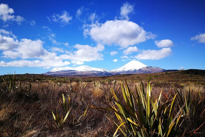 Tongariro Discovery Walk - An In-Depth Look at the Tongariro Discovery Walk