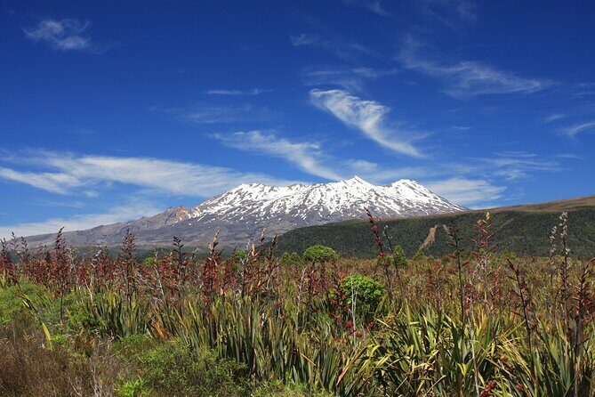 Tongariro Discovery Walk - Concluding Thoughts