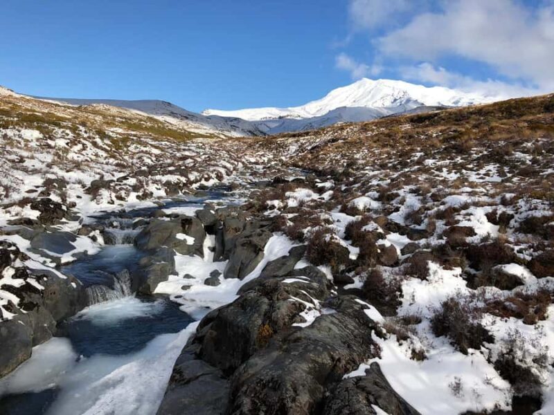 Tongariro National Park: Pre-Sunset Guided Walking Tour - Key Points